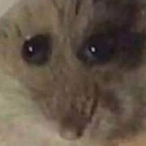 itsmybackacunt's profile picture. 반박부탁합니다
파생생각부탁합니다