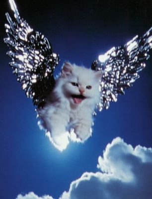 Ne_____r0's profile picture. 