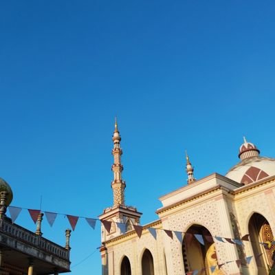 pikmiup75's profile picture. follow you