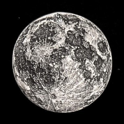 CoinSignalWire's profile picture. 