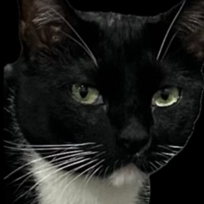 Billsallday2's profile picture. @buffalobills fan since birth. Used to do twitter and now back, just for the bills. This is the year. #billsmafia