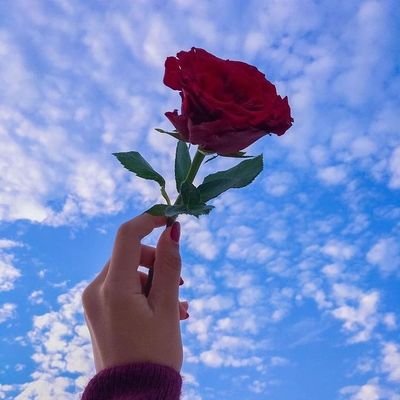 kl1571173123573's profile picture. 