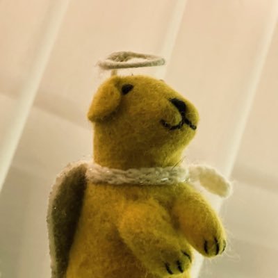 slorndog's profile picture. the prince of all cosmos