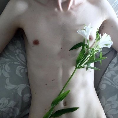 @nino4edtwtt