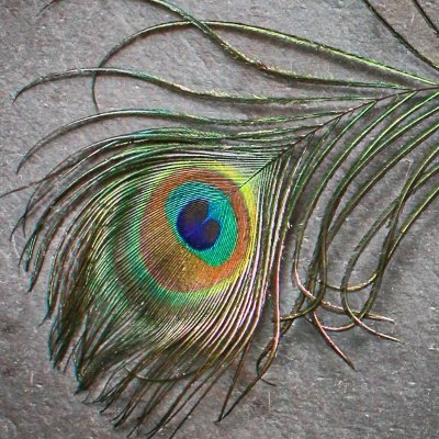 Nass7086's profile picture.