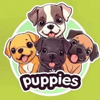 ggsheng50's profile picture. 