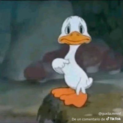 Eticadenada's profile picture. 