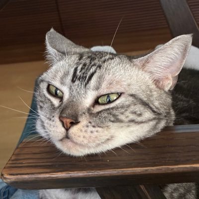 hisae1mkc's profile picture. 