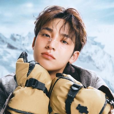 bubblewonu's profile picture. all about seventeen ... ᓚᘏᗢ | inactive due to busy schedules