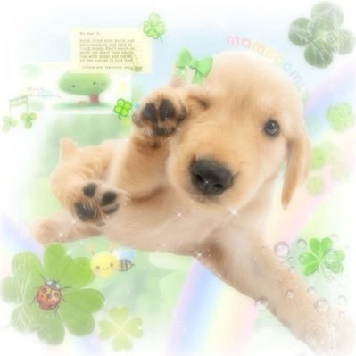 finsubrtslave's profile picture. rt slave for findom, irl, and 2dfd feel free to add me to your rt list! ARF! owned by @2DFDFinbrat