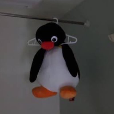 NZVWbhDBKr9189's profile picture. 