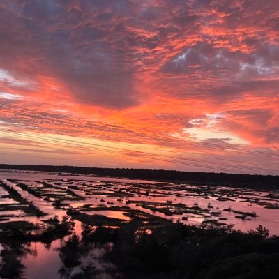 Cdawg2022NC's profile picture. Born & raised Burgh sports fan: Pitt, Steelers, Bucs, Pens. Live in south now. If my team’s not playin I’m at the beach or fishing.