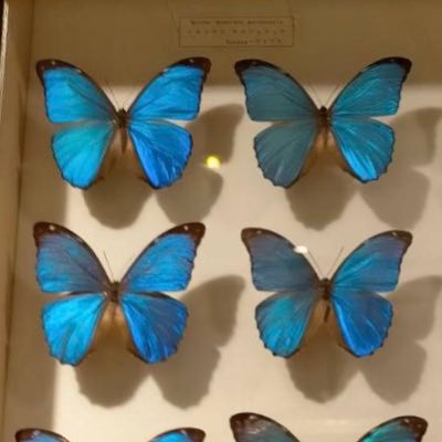 Tomitominobutin's profile picture. 孫命のおばあちゃんです。これからの日本が笑顔で生きる事ができる世の中を築いてあげたい。信教の自由賛成。