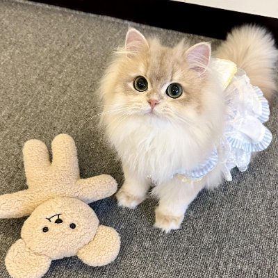 Amelia182_67's profile picture. Wanderer at heart, collecting moments not things. Chasing sunsets, exploring new horizons, and finding stories in every corner of the world. Life’s too short t