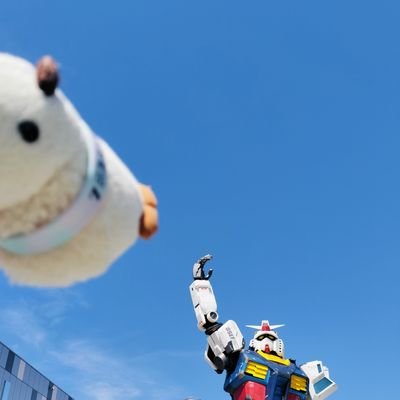 raika_ran's profile picture. ぴよは旅のお供/バイオリン/刀剣/旅行/飛行機/青江ちゃん♡/小竜くん♡/斑鳩三角はﾊｲｻﾝｶｰｸ△/mrhs兄弟に夢見てる/20↑
