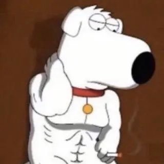 tcpflags's profile picture. 