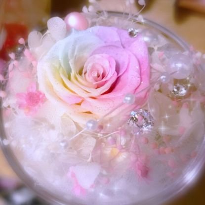 ruri222ruri222's profile picture. 不定期に自分で書いてる小説を投稿していきます。読んで頂けたら嬉しいです♡  
フォローありがとうございます、怪しい方以外はフォロバします😊