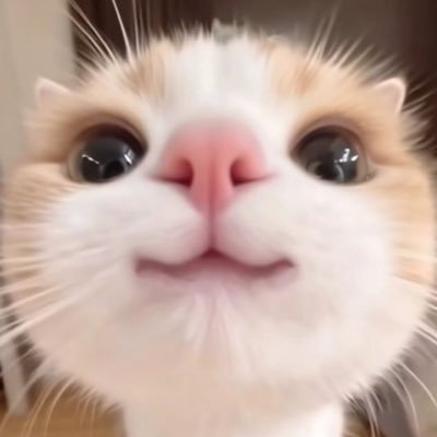 ra_illc's profile picture. 