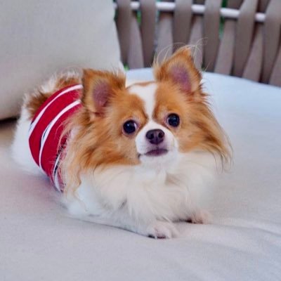 tuu_siriphan's profile picture. 