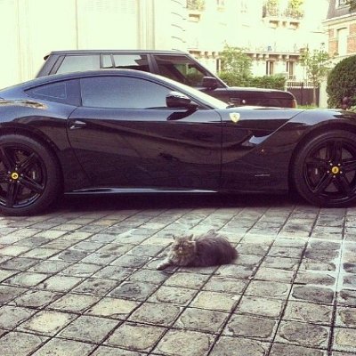 localxbt's profile picture. post down syndrome | 1 Fig