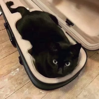 Noneprice's profile picture. 