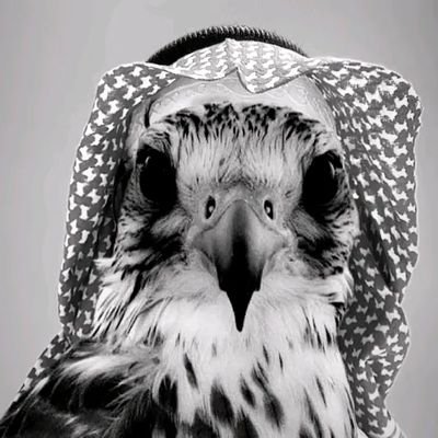 DAbod59322's profile picture. 