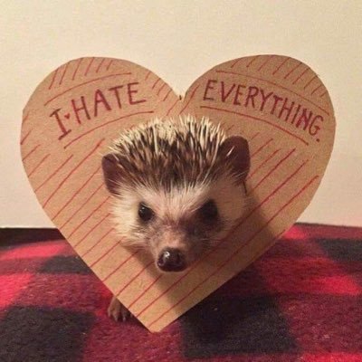 せれいンさんのプロフィール画像
