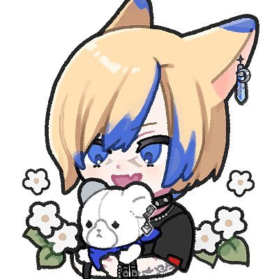 光のきょう🐱💙さんのプロフィール画像