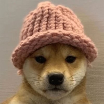 yxzsh550's profile picture. 