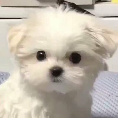 น้องลี่さんのプロフィール画像