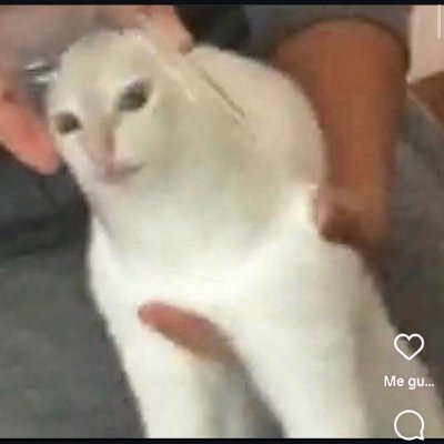 Luci_aime's profile picture. 🐻

♡