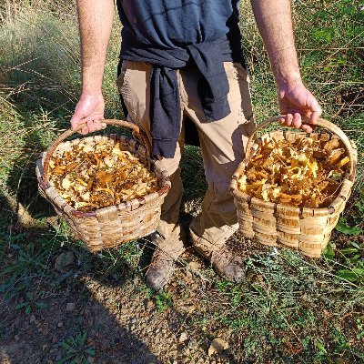 bizindar's profile picture. 