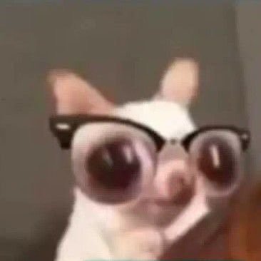 31l41's profile picture. さぶ@89s2l