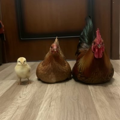 dgb2nm7hbn's profile picture. 