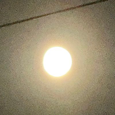 sama85458813's profile picture. 