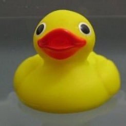 GnLrqw7's profile picture. 部屋を明るくして、（色んな意味で）離れて、自己責任で見てね（この垢自宅だと思ってるから本性の極み🐸）オリキャラのメチ子がノートに居座ってます