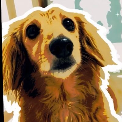 isekainotama's profile picture. 音楽好きです。ロック系を中心に聴いてます。  愛犬のダックスがいます