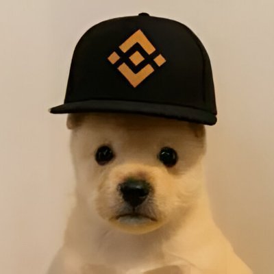 HPDRooback's profile picture. Holder $ETH $PUP