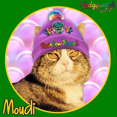 Fuxinchen's profile picture. 🇺🇦🕊️☮️
Born 2005, 🌈2025 lived in Switzerland. 
Could jump through a masked hoop! #MoudisTrickSchool 
Member of #TabbyTroop #Hedgewatch  #SuperSeniorCats