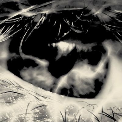 43blob's profile picture.
