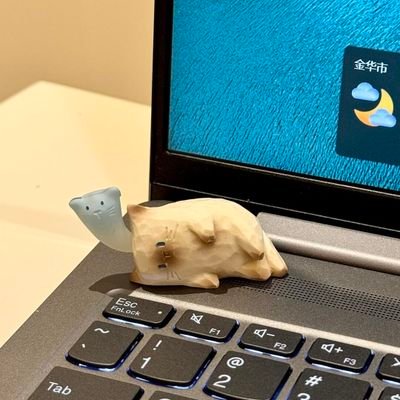 maeby_icy's profile picture. Higher risk , higher return !