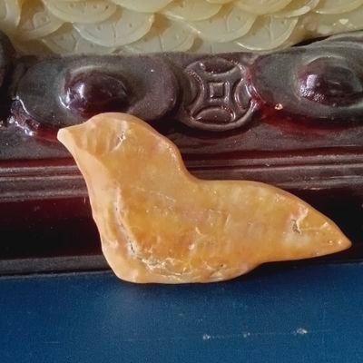 zu_zhang44982's profile picture. 叶子的离开是因为风的追求还是树的不挽留？