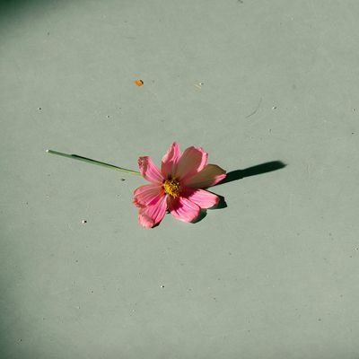 SAMADONGRUN's profile picture. 한드 쫌쫌따리 보는 사람 | 배사는 최근 과몰입작