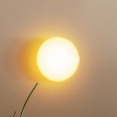 zpfphotography's profile picture. 