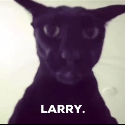 reenebaeluvu's profile picture. 