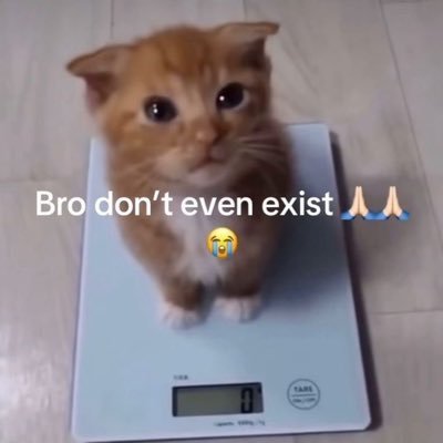 p0rsodium13's profile picture. fulltime MY | @KissCross_VIG 🐼🐱 | #光が死んだ夏 ⚪️⚫️ | muti-fandom ──☆*:・ﾟ