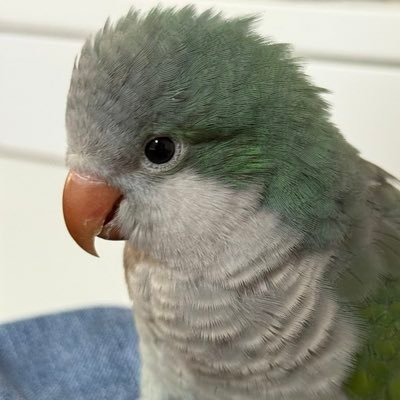 always00k_'s profile picture. -fan account-|| TY's 💜|| ling²Orm