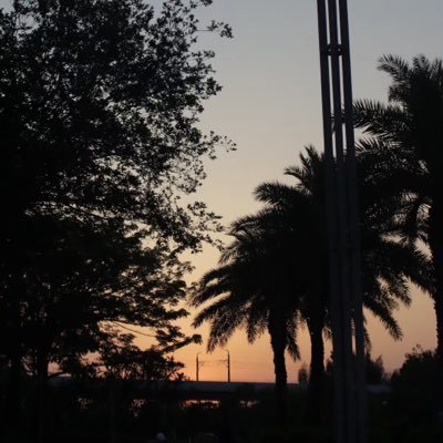 ZhaoYan92581's profile picture. 