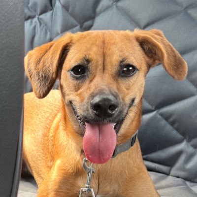 tnadassy's profile picture. resistance is existence