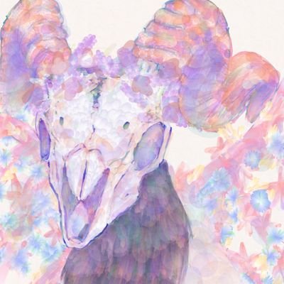 うどんもちさんのプロフィール画像